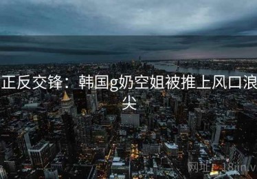 正反交锋：韩国g奶空姐被推上风口浪尖