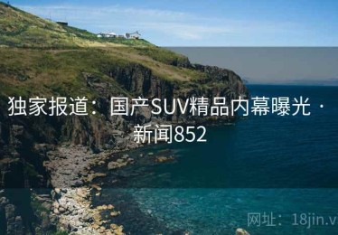 独家报道：国产SUV精品内幕曝光 · 新闻852