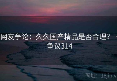 网友争论：久久国产精品是否合理？ · 争议314