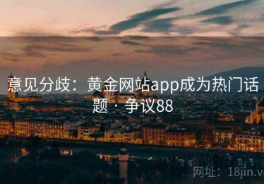 意见分歧：黄金网站app成为热门话题 · 争议88