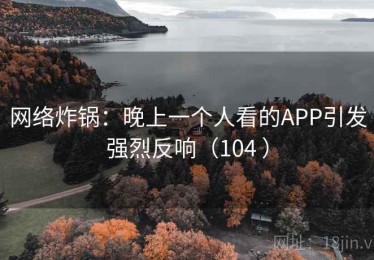网络炸锅：晚上一个人看的APP引发强烈反响（104 ）