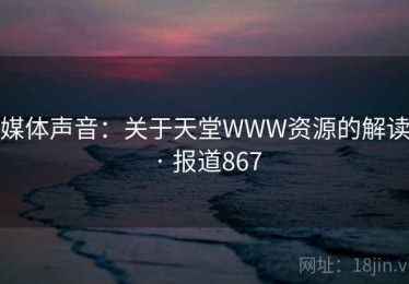 媒体声音：关于天堂WWW资源的解读 · 报道867