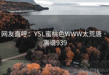 网友直呼：YSL蜜桃色WWW太荒唐 · 离谱939