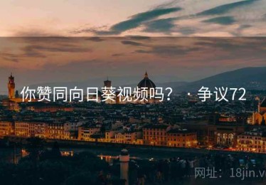 你赞同向日葵视频吗？ · 争议72