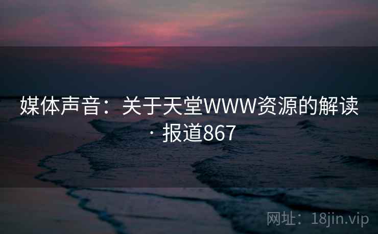 媒体声音：关于天堂WWW资源的解读 · 报道867