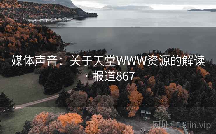 媒体声音：关于天堂WWW资源的解读 · 报道867